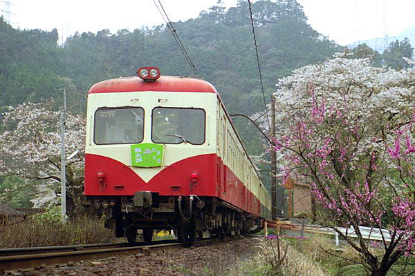 大井川鉄道 クモハ313