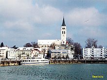 �{�[�f���ΌΔȁA�X�C�X�̏����ȍ`�����}���X�z����