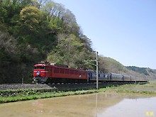 EF81137���@�����Q����}�����ڂ̕ǎ�