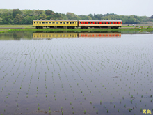 �Ђ����Ȃ��C�l�S�����S�F�L�n2000�`�ǎ�